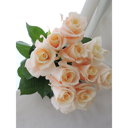 生花】バラ 長野県篠原さんのバラ ダーリン:今週のオトク! - 花材通販