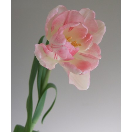 Ylnxbo7ki8qv M Ylnxbo7ki8qv M