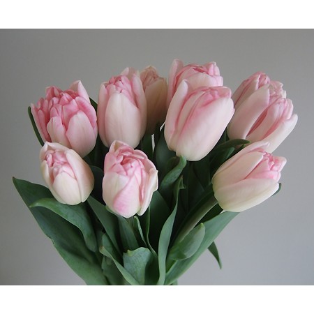 Ylnxbo7ki8qv M Ylnxbo7ki8qv M