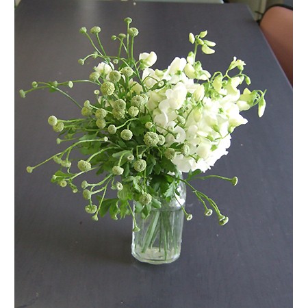 生花】SpotSpecial:マトリカリア モコモコ - 花材通販はなどんやアソシエ