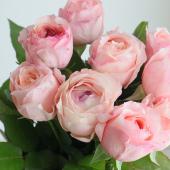 薔薇生花 るっち 生花】バラ アンジェリークロマンチカ(ピンク)□今週のオトク【IT-23