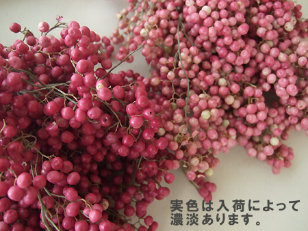 在P】ペッパーベリー(ピンク): - 花材通販はなどんやアソシエ