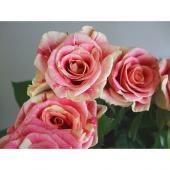 薔薇生花 Tara 薔薇生花 Tara様専用 ⠀ ꓟꓮꓣꓣꓳꓠ ROSE Review 🤍 @erinanakata 様