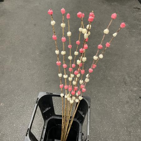 【Hotsale□】餅花　(正月用品)　80cm