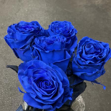 【トモフラ】染バラ　ブルーティフル　60cm　(青)　輸入