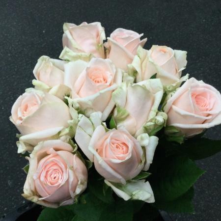 Vnhkmq Pd73lvm Vnhkmq Pd73lvm