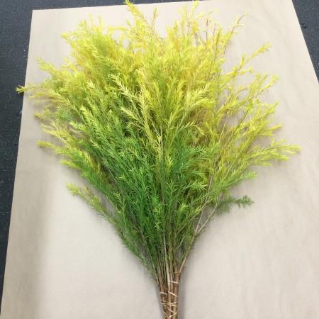 【Hotsale】エダモノ　メラリューカレボリューションゴールド70cm