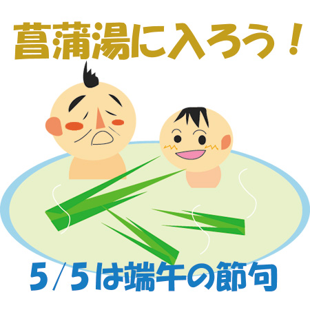 直前!!】お風呂用 葉菖蒲(束) ☆数量限定 - 花材通販はなどんやアソシエ