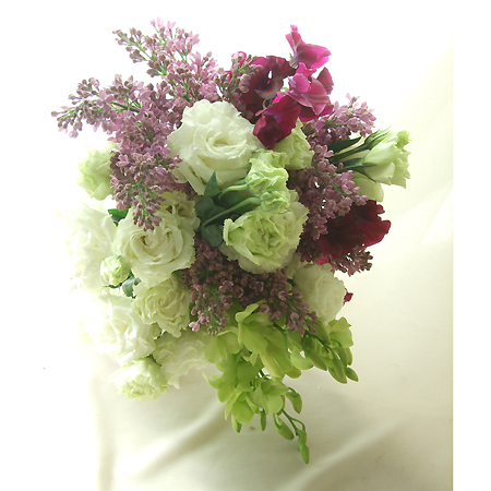 生花 輸入ライラック 紫2ヘッド ケース本入り 早締切71 通販 はなどんやアソシエ 生花 輸入ライラック 紫2ヘッド ケース本入り 早締切71 通販 はなどんやアソシエ