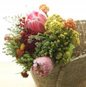 ITA1115-10】☆Spot入荷!プロテアブーケ 11/11-15届け - 花材通販は 