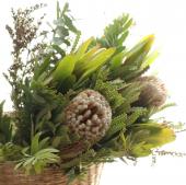 生花】Spot入荷!バンクシアブーケ 6/27-7/2届【WE】 - 花材通販