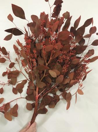 【ITA1110-06】ポプラスベリー(ペイントオレンジ)