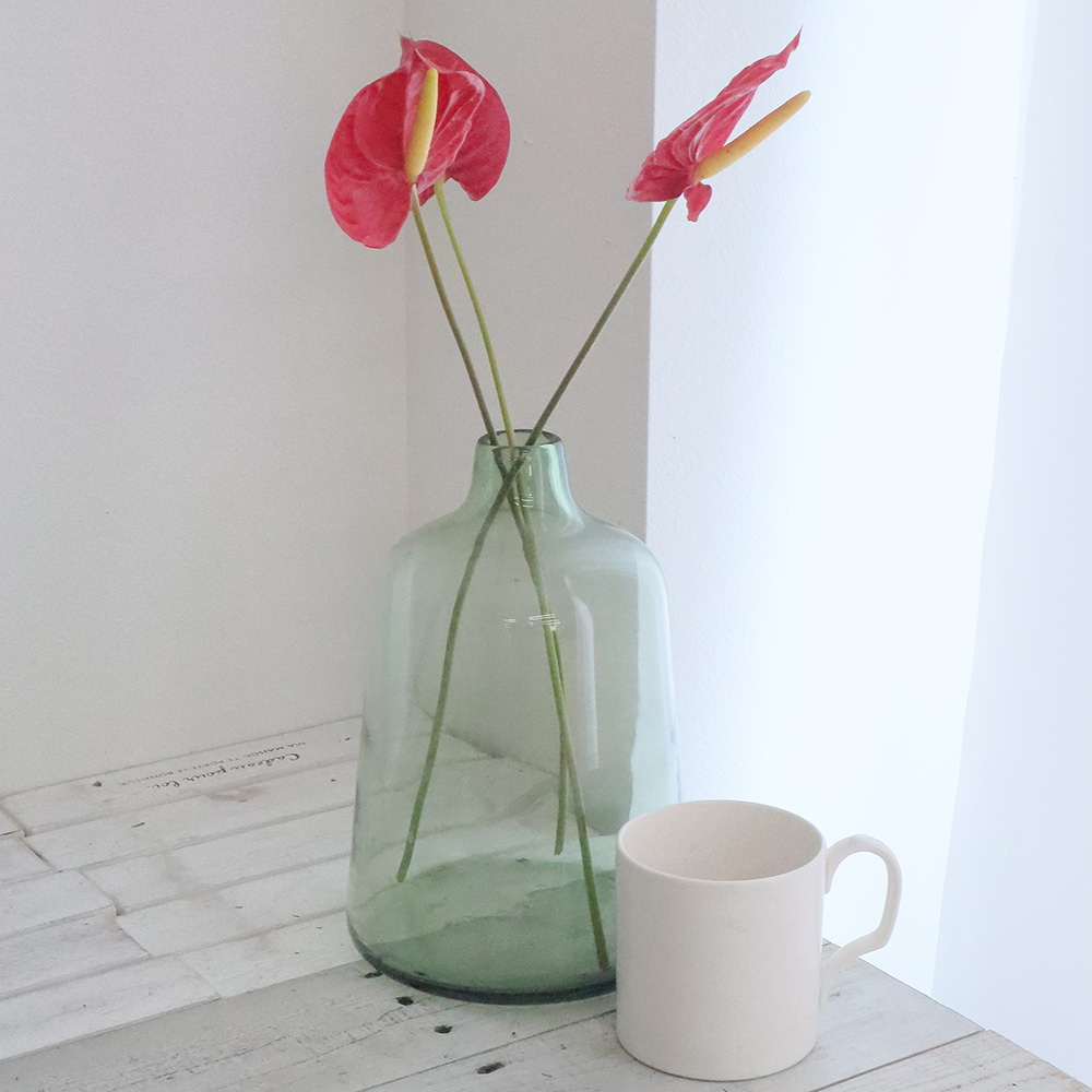 直前 アンスリューム トロピカルレッドs 2s 赤 Otsk 生花 通販 はなどんやアソシエ 直前 アンスリューム トロピカルレッドs 2s 赤 Otsk 生花 通販 はなどんやアソシエ