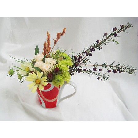 生花 ボロニア パープル 通販 はなどんやアソシエ 生花 ボロニア パープル 通販 はなどんやアソシエ