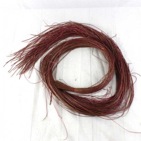 【生花/即納】シッサスオバータ(束)台湾産 ※赤味があります。 半ドライ【EXH】