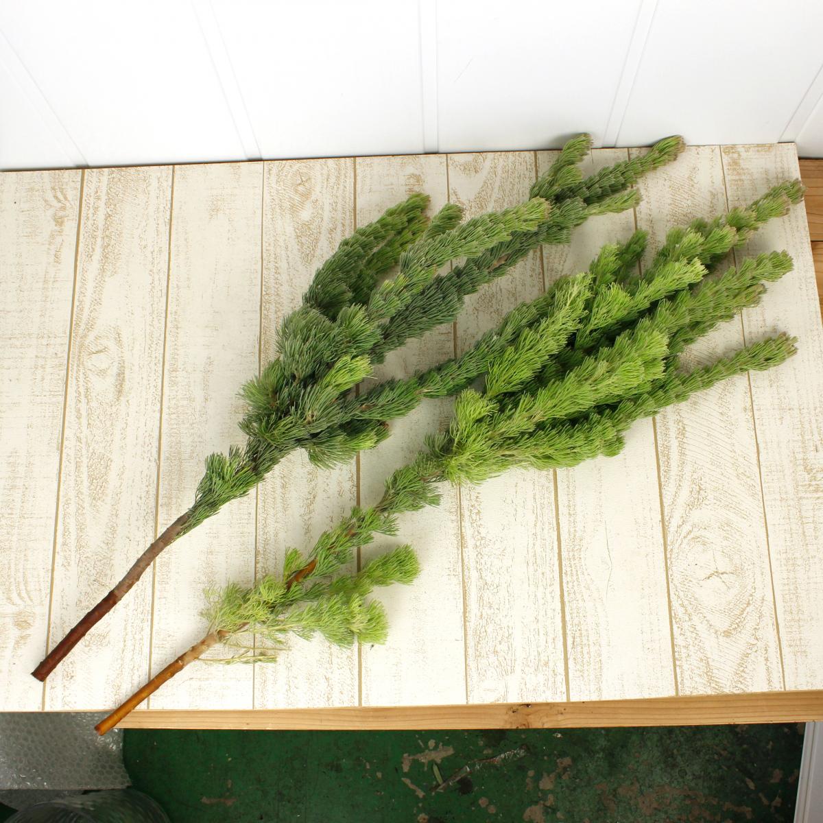 はなどんやアソシエ