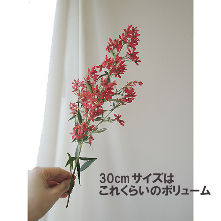 生花 クリスマスブッシュ 1本売りボリューム大の1mサイズ 通販 はなどんやアソシエ 生花 クリスマスブッシュ 1本売りボリューム大の1mサイズ 通販 はなどんやアソシエ