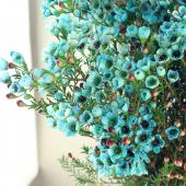 生花以上　花色−hanairo−の造られた花【ブルーとホワイトのスワッグ) 生花以上 花色−hanairo−の造られた花【ブルーとホワイトの