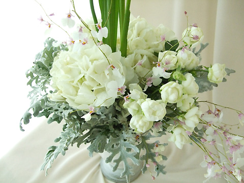 生花 輸入アジサイ 白 通販 はなどんやアソシエ 生花 輸入アジサイ 白 通販 はなどんやアソシエ