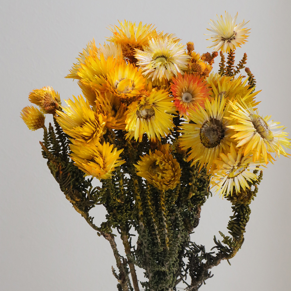 花束・切花 AME ブーケ 花とギフトの店 ARNE 母の日 花束 ブーケ 花 誕生日 生花 お祝