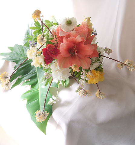 生花 ケース単位 入数変動あり アマリリス リロナ ピーチ 商品説明ご確認ください 通販 はなどんやアソシエ 生花 ケース単位 入数変動あり アマリリス リロナ ピーチ 商品説明ご確認ください 通販 はなどんやアソシエ