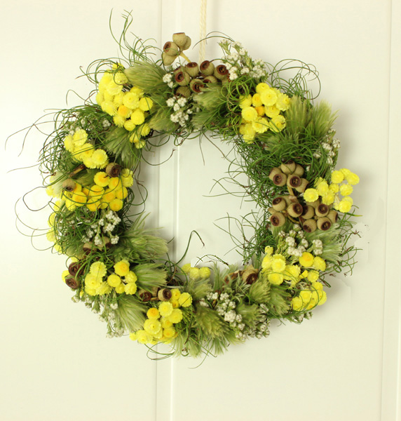 ITA09】ヘリクリサム エリクリシオ(イモーテル)ドライ - 花材通販は