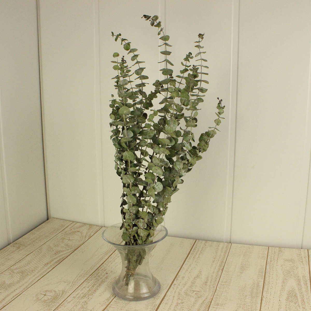 ドライ J Flow ユーカリ ベイビーブルー 約10本入り L1 12 通販 はなどんやアソシエ ドライ J Flow ユーカリ ベイビーブルー 約10本入り L1 12 通販 はなどんやアソシエ