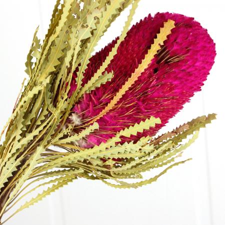紫陽花ドライフラワー AB品 k10 80サイズ3箱分 120サイズ 北海道産の