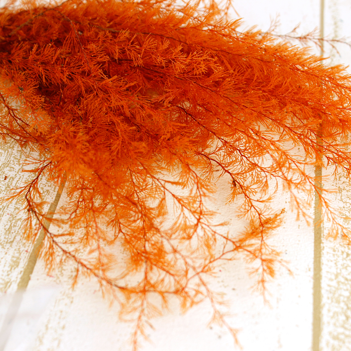 プリザーブド/即納】J・flow/海藻 エアファーン オレンジ(染め)【DS-43