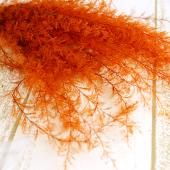 プリザーブド/即納】J・flow/海藻 エアファーン オレンジ(染め)【DS-43