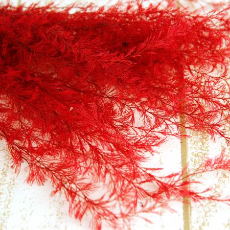 プリザーブド/即納】J・flow/海藻 エアファーン レッド(染め)【DS-43  