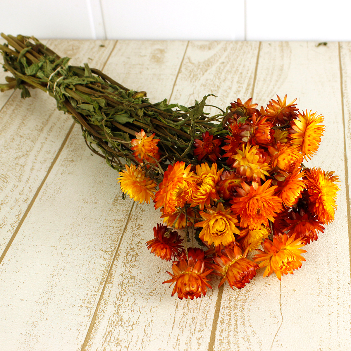 送料無料】【ドライ】J・flow/ヘリクリサム オレンジ 大束 ☆ケース割