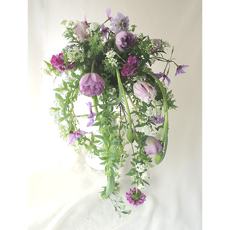 生花 チューリップ ブルーダイヤ 八重紫 通販 はなどんやアソシエ 生花 チューリップ ブルーダイヤ 八重紫 通販 はなどんやアソシエ