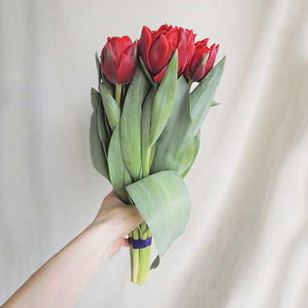 Uksicf5iuun80m Uksicf5iuun80m