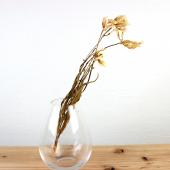 エンドウ チューリップ大＆中セット エンドウ様専用 チューリップ大