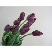  tulip pot　ジェリーキャット　チューリップ 　花 植物 Amuseables Tulip - Official Jellycat