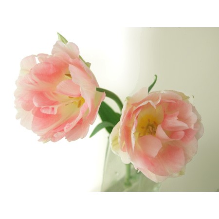 3ktpfvafa3gprm 3ktpfvafa3gprm