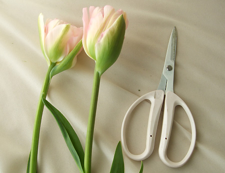 3ktpfvafa3gprm 3ktpfvafa3gprm