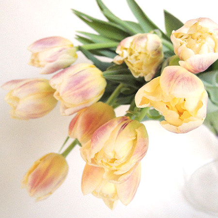 直前 チューリップ フレミングマルガリータ クリームピンク 八重 生花 通販 はなどんやアソシエ