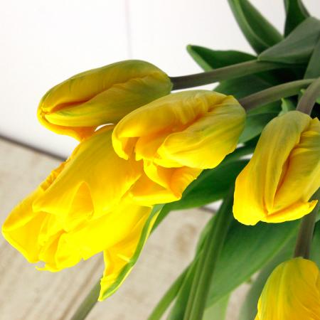 エミリオロバ　チューリップ　イエロー　高級造花　パーロット咲き エミリオロバ チューリップ イエロー 高級造花 パーロット咲き