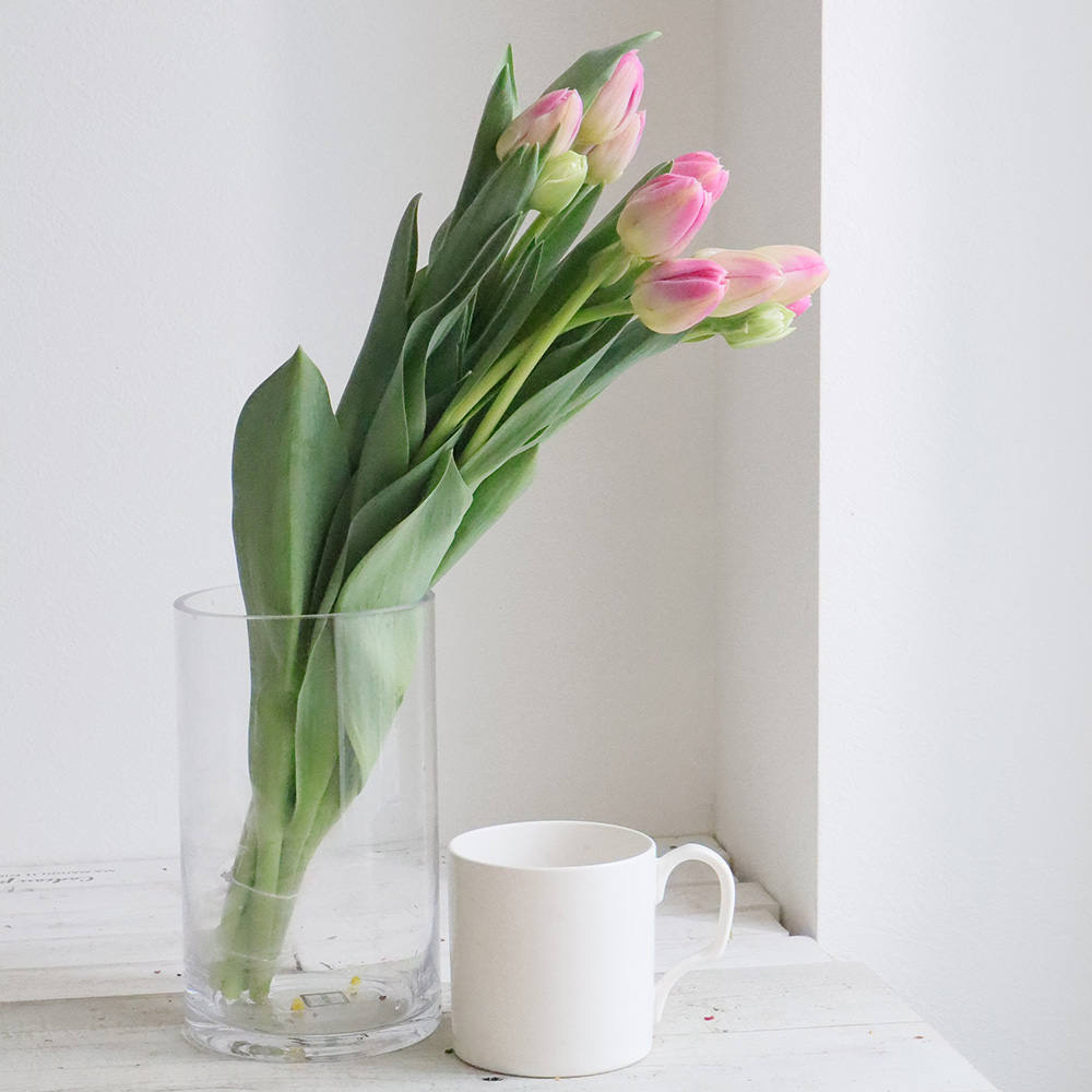 ジャイアントフラワー　チューリップ　ピンク Little Flowers Tulip Pink 