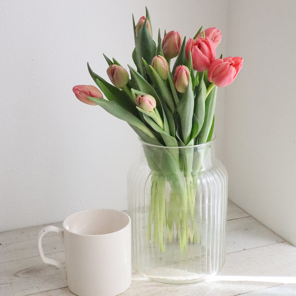 08直前!】チューリップ ラルゴサーモン(八重)【OT】【生花】 - 花材