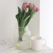【生花】チューリップ　ドレッシング　ピンク八重【OT】
