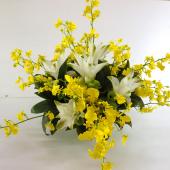 アトリエgg シークワーサーの花(イエロー) アトリエgg シークワーサーの花(イエロー) 犬用品