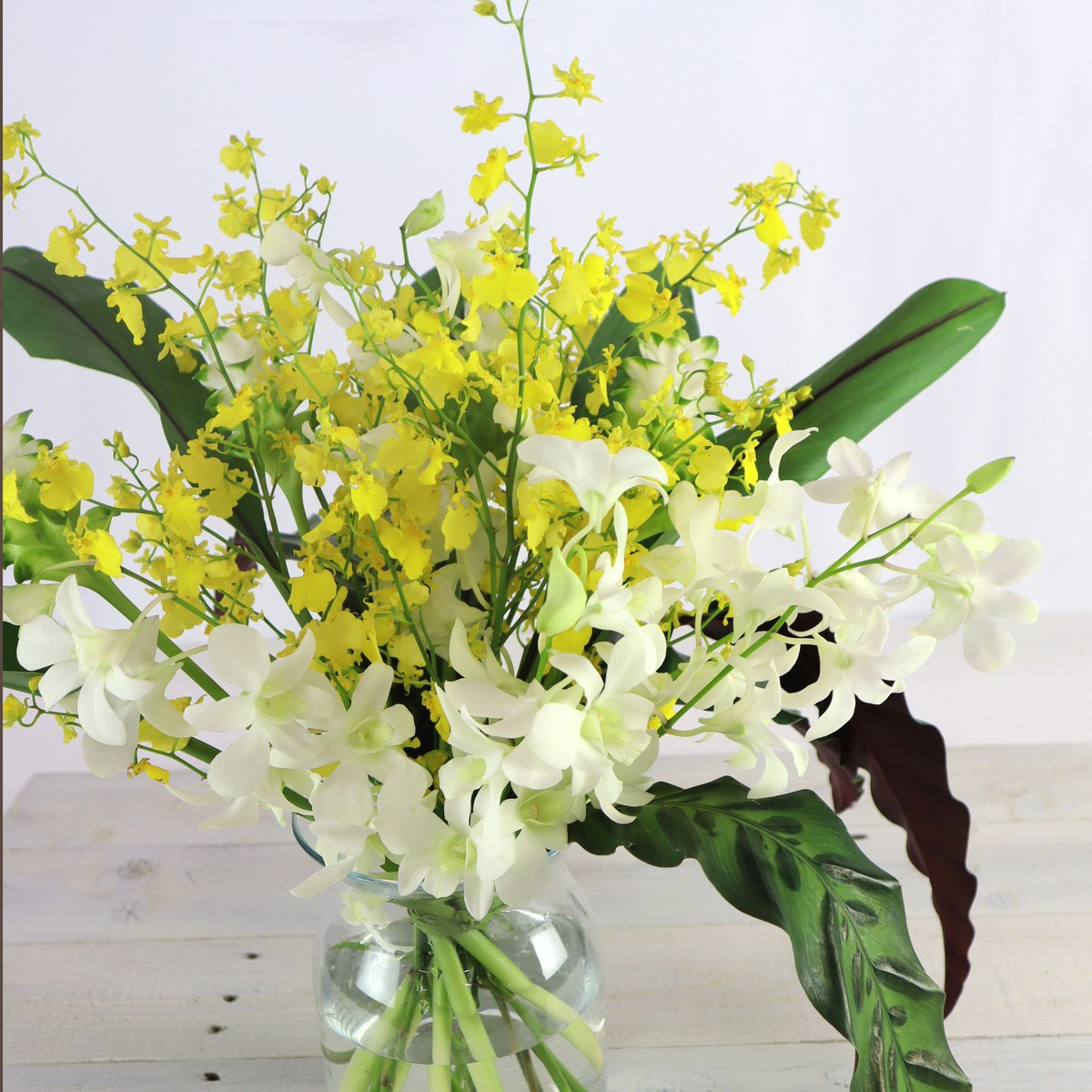 D】生花 デンファレ 紫 80本 アレンジ 花束 ブーケ 洋蘭 切り花 D