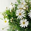 【生花】季節のフラワーセット:パンジーのふわふわ春セット　※木金届けなし【早締切】