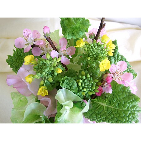 直前0127!!】菜の花:今週のオトク - 花材通販はなどんやアソシエ