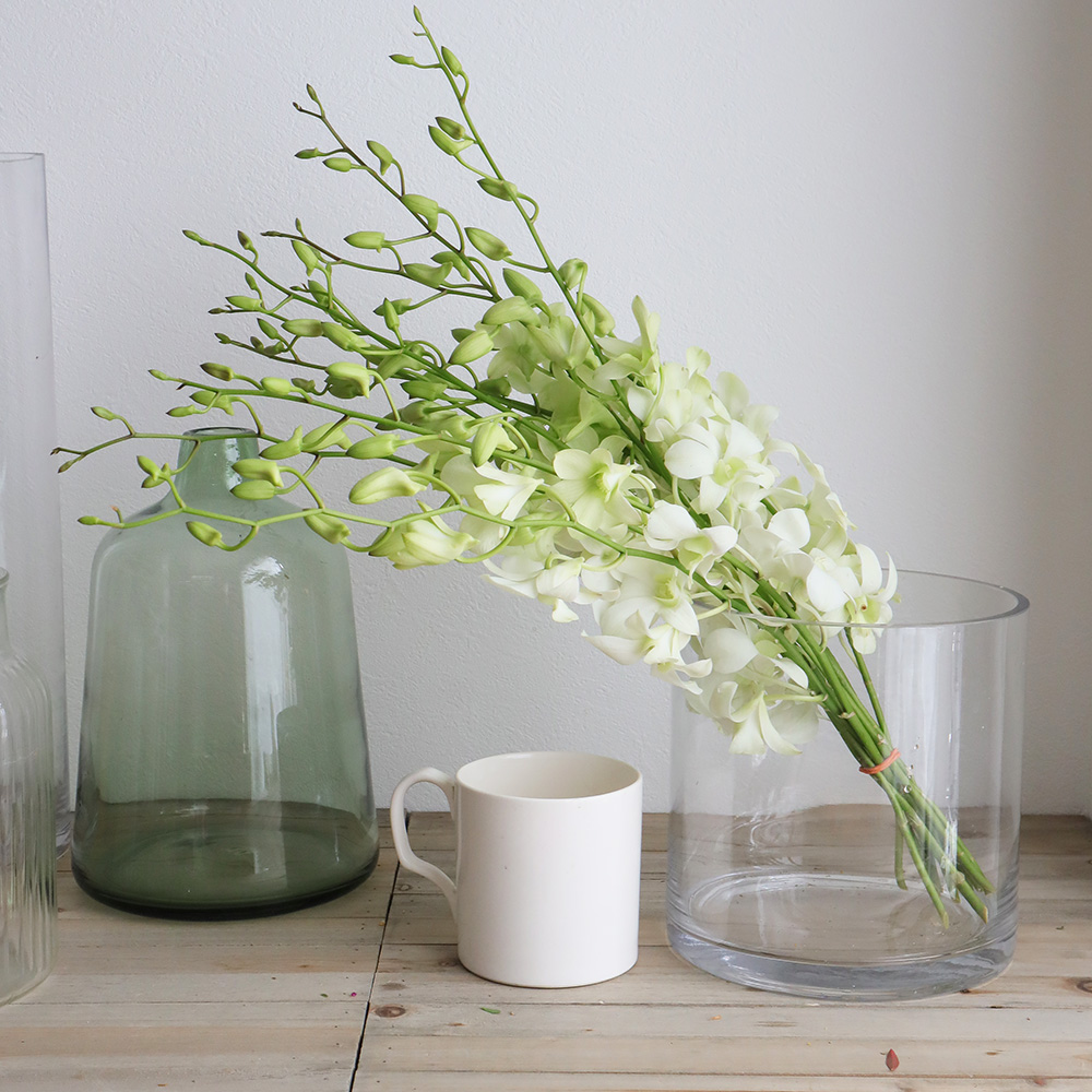 直前 デンファレ 白 輸入 シンガポール 生花 通販 はなどんやアソシエ 直前 デンファレ 白 輸入 シンガポール 生花 通販 はなどんやアソシエ