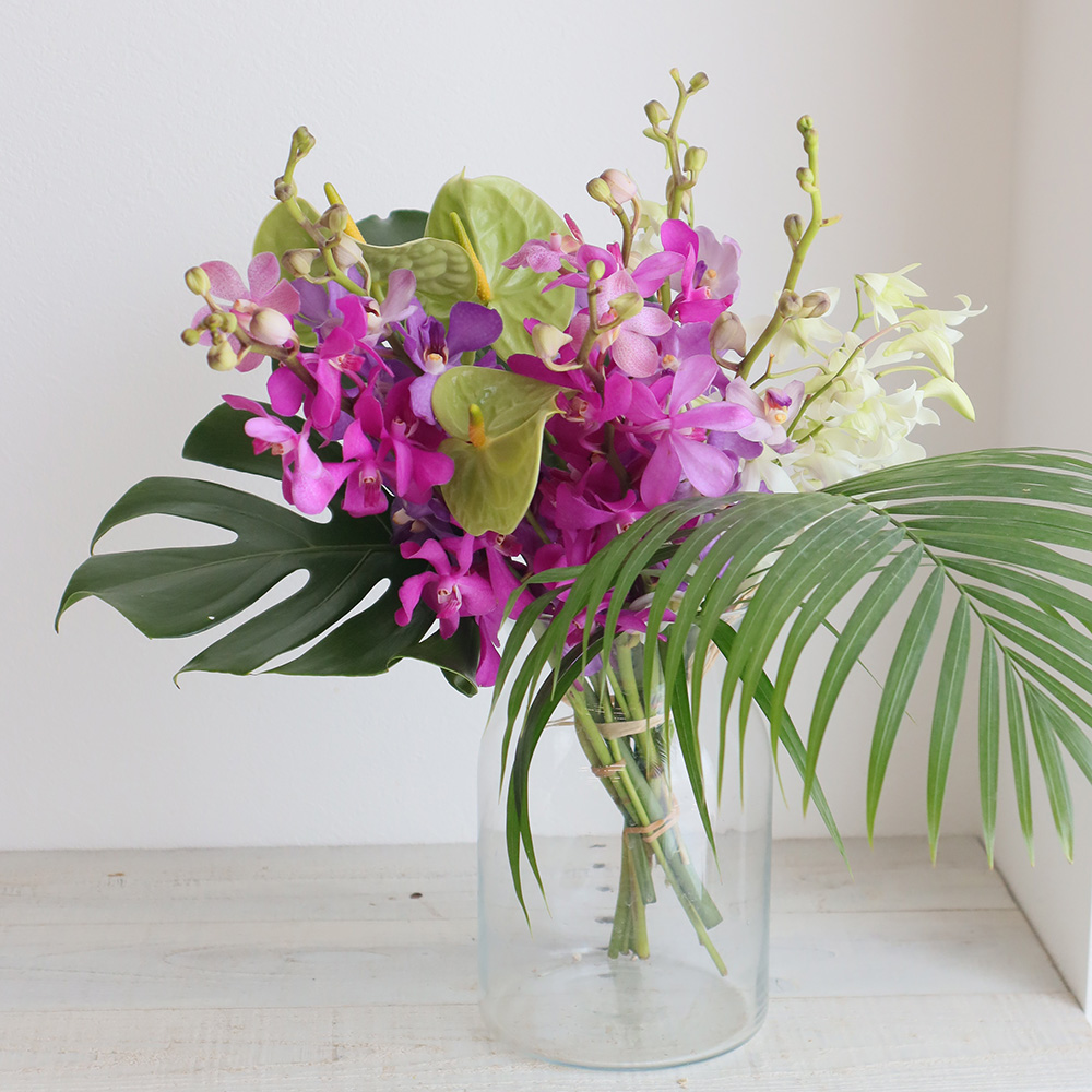 直前 モカラ カリプソ 濃いピンク 生花 通販 はなどんやアソシエ 直前 モカラ カリプソ 濃いピンク 生花 通販 はなどんやアソシエ