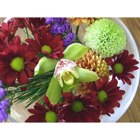 観葉植物　シンピジューム　グリーンサワー 生花】シンビジウム グリーンサワー【黄緑/60cm/徳島県】｜Flower